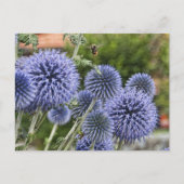 Lila Thistles and Bee in Brienz, Schweiz Postkarte (Vorderseite)