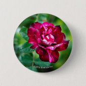 Lila Tiger-Rose Button (Vorderseite)