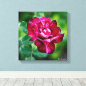 Lila Tiger-Rose Leinwanddruck (Insitu (Holzboden))