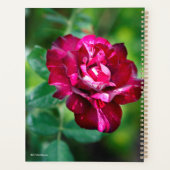 Lila Tiger-Rose Planer (Rückseite)