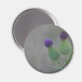 Lila Töne Magnet (Vorderseite/Rückseite)