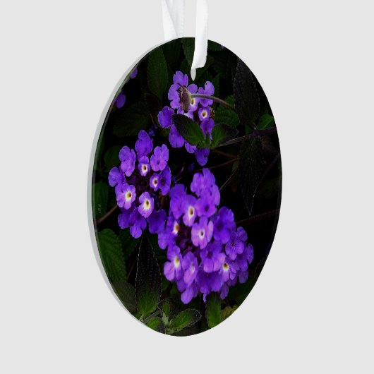 Lila Trailing Lantana #1 Ornament (Vorderseite)