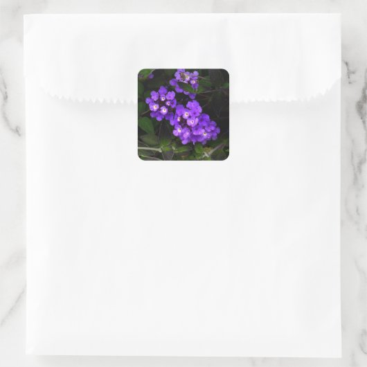 Lila Trailing Lantana #1 Stickers (Tasche)