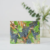 Lila Trauben Postkarte (Stehend Vorderseite)