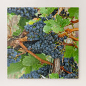 Lila Trauben Puzzle (Horizontal)