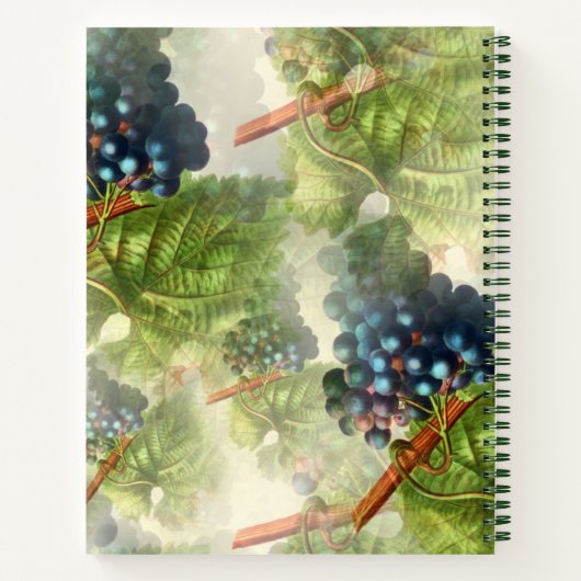 Lila Trauben Rezept Buch (Rückseite)