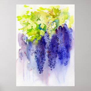 Lila Trauben-Wasserfarben-Weinberg-Küche Poster
