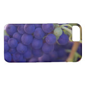 Lila Traubensorgen auf dem Weinberg Case-Mate iPhone Hülle (Rückseite (Horizontal))