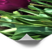 Lila Traum Poster (Ecke)