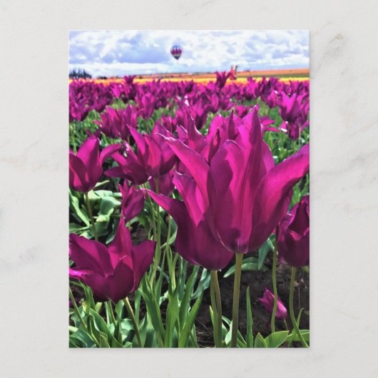 Lila Traum Postkarte (Vorderseite)