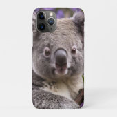"Lila träumen: Ein Koala in einem Jacaranda-Baum Case-Mate iPhone Hülle (Rückseite)