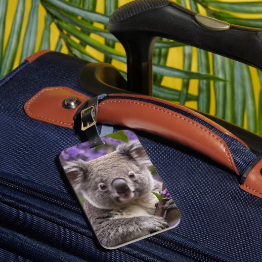 "Lila träumen: Ein Koala in einem Jacaranda-Baum Gepäckanhänger (Vorderseite Insitu 1)