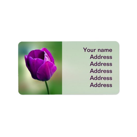 Lila Tulip Adressaufkleber (Vorne)
