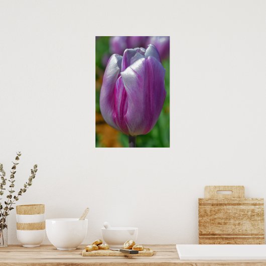 Lila Tulip Art Poster (Küche)