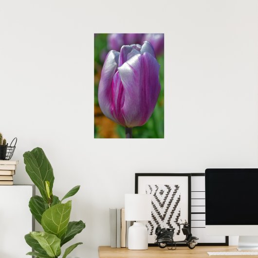 Lila Tulip Art Poster (Heimbüro)