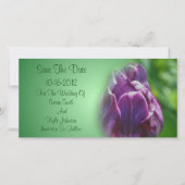 Lila Tulip Blume Hochzeit Save The Date (Vorderseite)