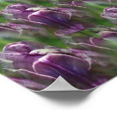 Lila Tulip Blume Naturmuster Poster (Ecke)