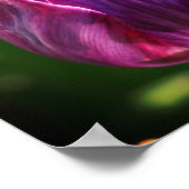 Lila Tulip-Blume Poster (Ecke)