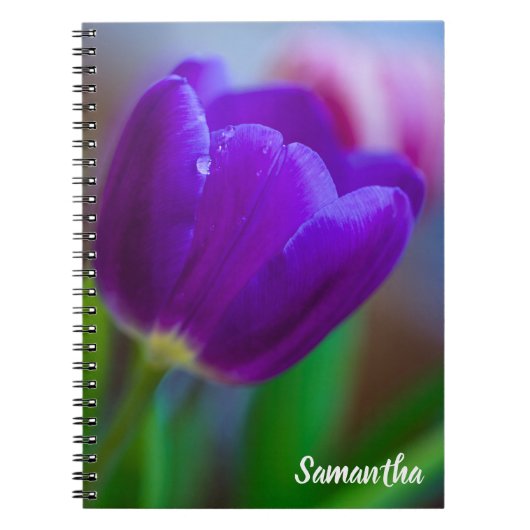 Lila Tulip Blume Spiralheft Notizblock (Vorderseite)