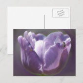 Lila Tulip-Blume und Biene Postkarte (Vorne/Hinten)