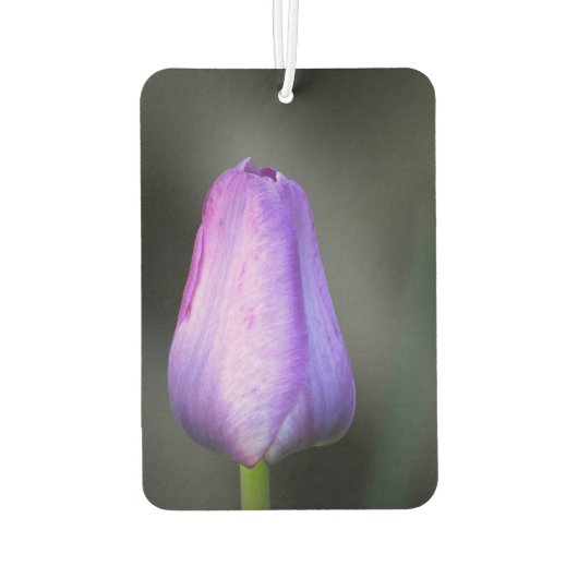 Lila Tulip Bud Autolufterfrischer (Rückseite)