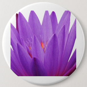 Lila Tulip Button