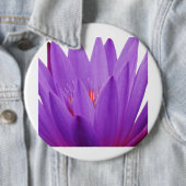 Lila Tulip Button (Beispiel)