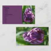 Lila Tulip Flower Fotografy Business Card Visitenkarte (Vorne/Hinten)