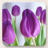 Lila Tulip Getränkeuntersetzer (Vorderseite)