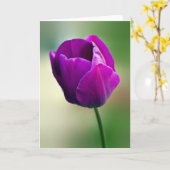 Lila Tulip Karte (Gelbe Blume)