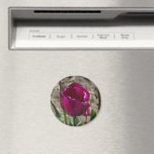 Lila Tulip-Magnet Magnet (In Situ (Geschirrspüler))