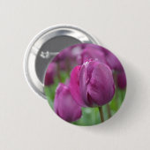 Lila Tulip mit Wassertropfen Button (Vorne & Hinten)