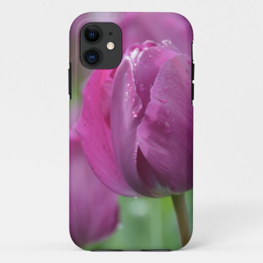 Lila Tulip mit Wassertropfen Case-Mate iPhone Hülle (Rückseite)
