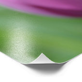 Lila Tulip mit Wassertropfen Foto Print (Ecke)