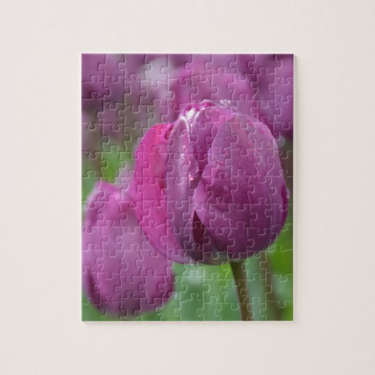 Lila Tulip mit Wassertropfen Puzzle (Vertikal)