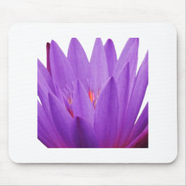 Lila Tulip Mousepad