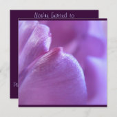 Lila Tulip Petal Einladung (Vorne/Hinten)