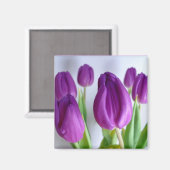 Lila Tulip Spring Magnet (Vorderseite/Rückseite)