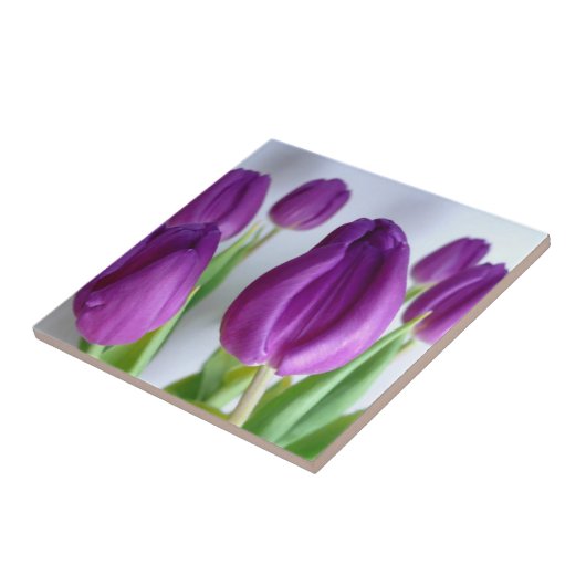 Lila Tulip Tile Fliese (Seite)