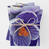 Lila Tulip Wrapping Paper Geschenkpapier Set (Beispiel)