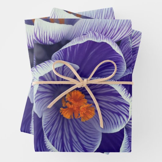 Lila Tulip Wrapping Paper Geschenkpapier Set (Beispiel)