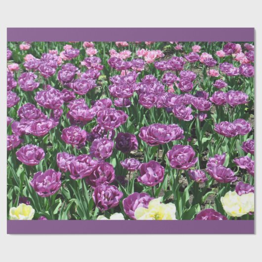 Lila Tulip-Wrapping-Papier Geschenkpapier (Flach)