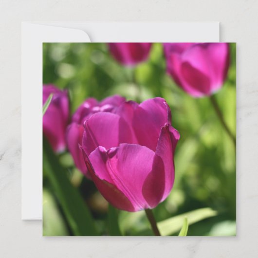 Lila Tulips 50. Hochzeitstag Einladungen (Rückseite)