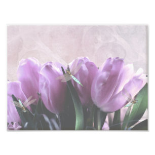 Lila Tulips Aqua Dragonfys Fotodruck