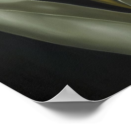 Lila Tulips Blume Art Print Poster (Ecke)