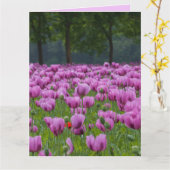 LILA TULIPS-BLUME BIRTHDAY GROSSE KARTEN (Gelbe Blume)