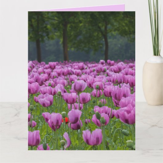 LILA TULIPS-BLUME BIRTHDAY GROSSE KARTEN (Vorderseite)