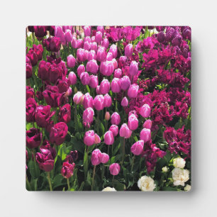 Lila Tulips Garden Bed and Breakfast Fotoplatte