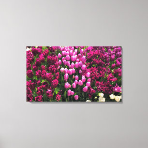 Lila Tulips Garden Bed and Breakfast Leinwanddruck