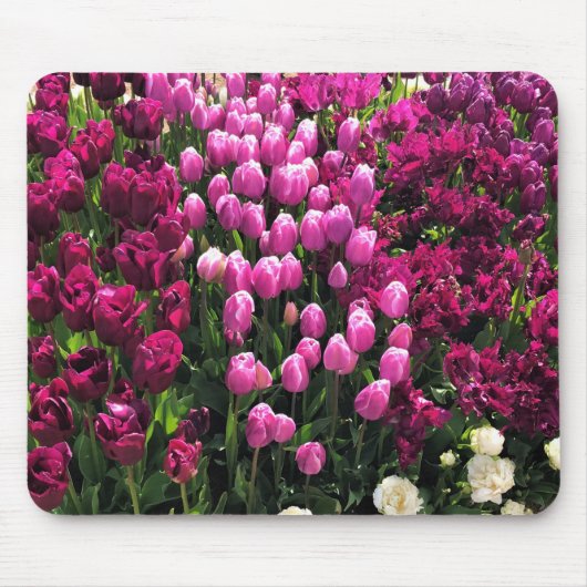 Lila Tulips Garden Bed and Breakfast Mousepad (Vorne)